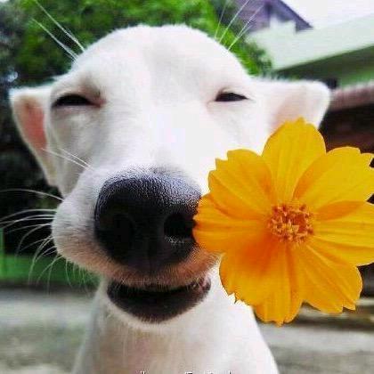 不负好时光☀️