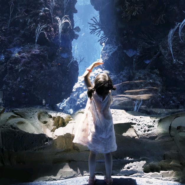 ㅎᗨㅎ