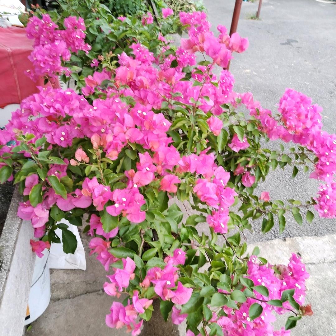 记着你