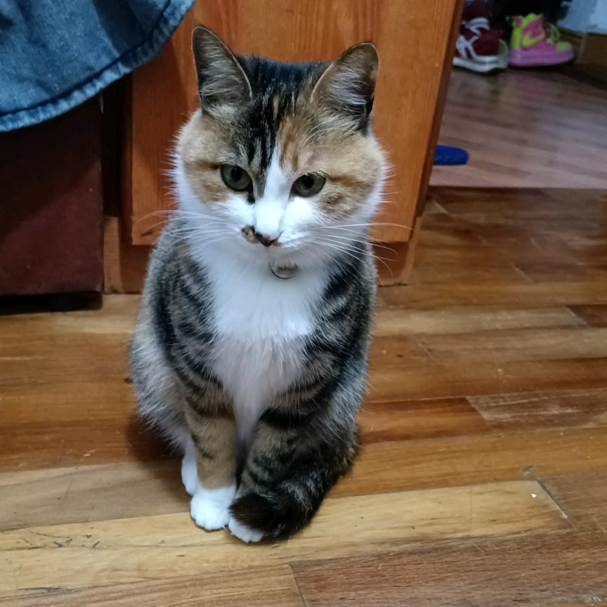 💫彩虹🌈☀爱佳⁰⁷³¹