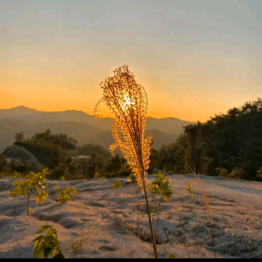 南安市溪美街道冰蓝便利店（个体工商户）