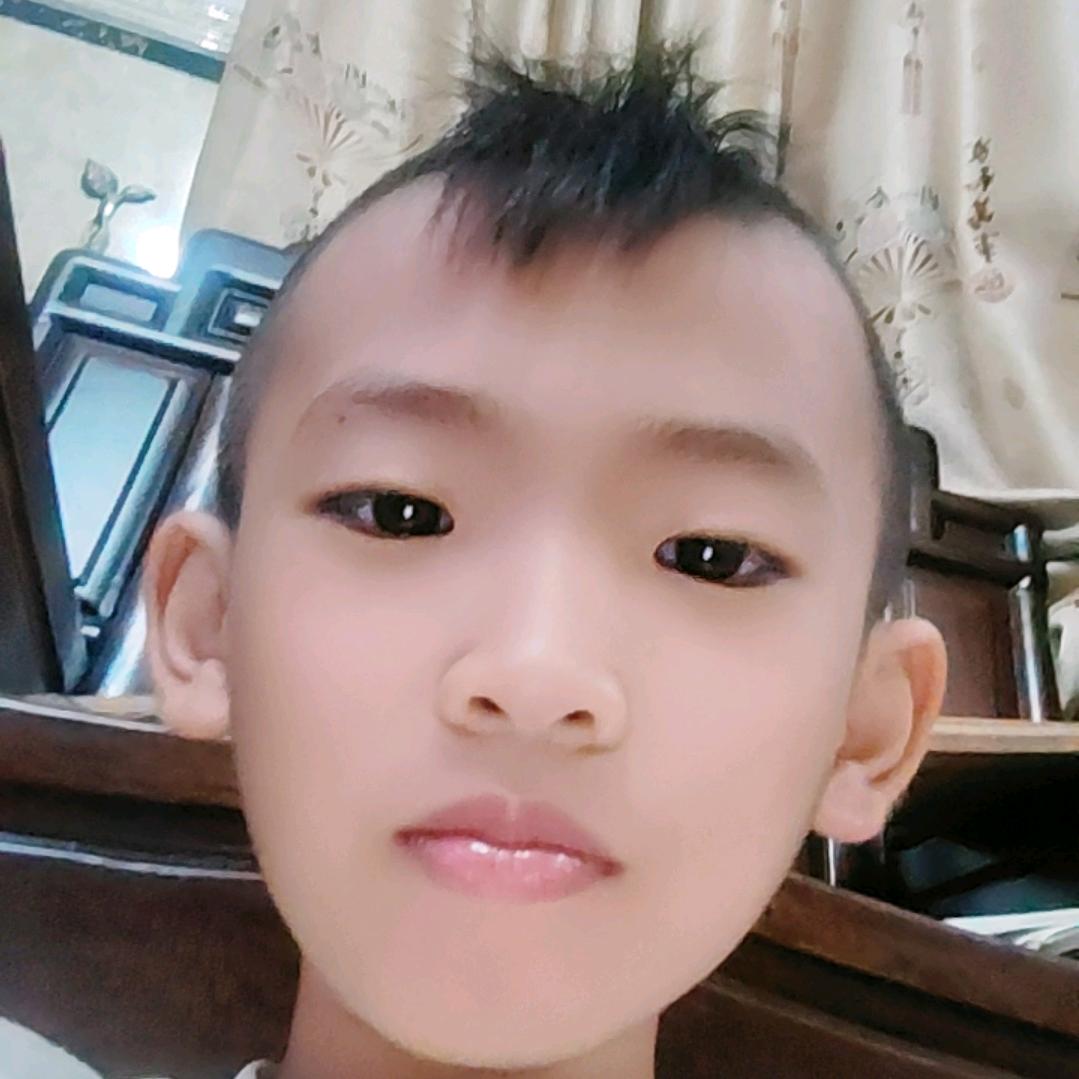 龙龙