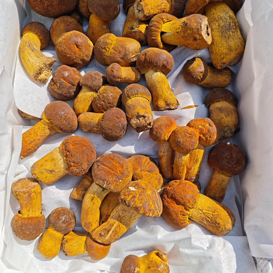 《舌尖上的东北》