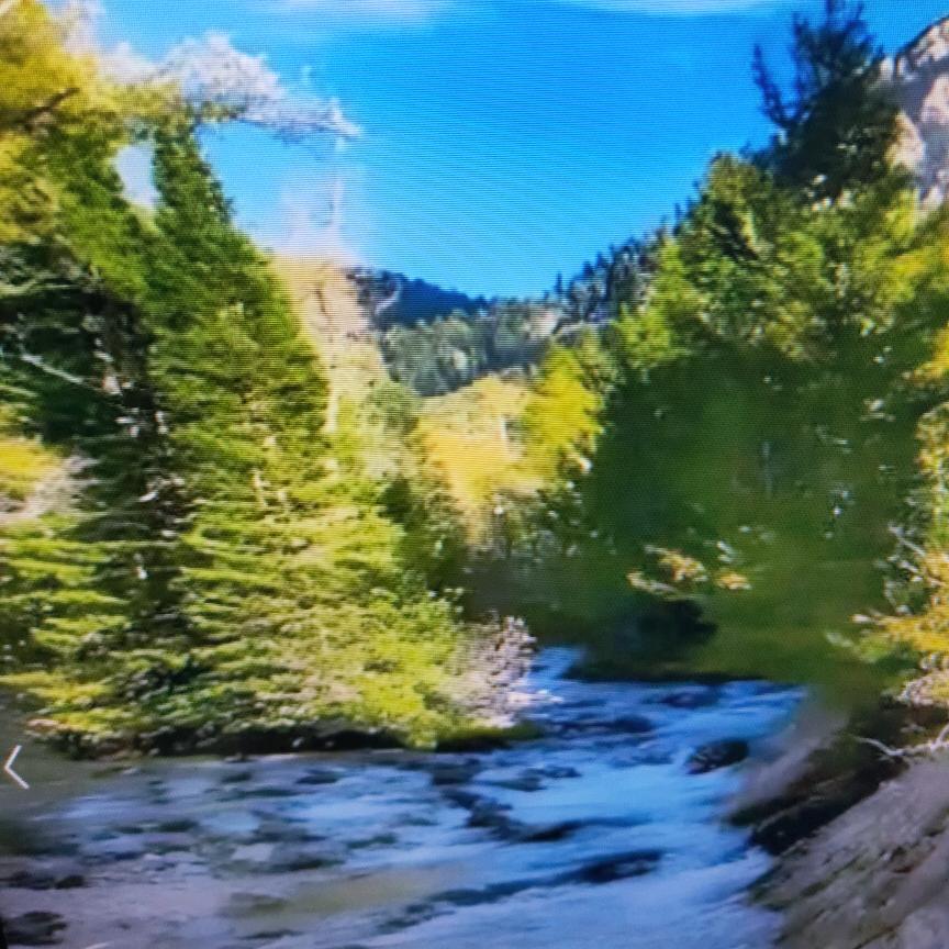 流氓