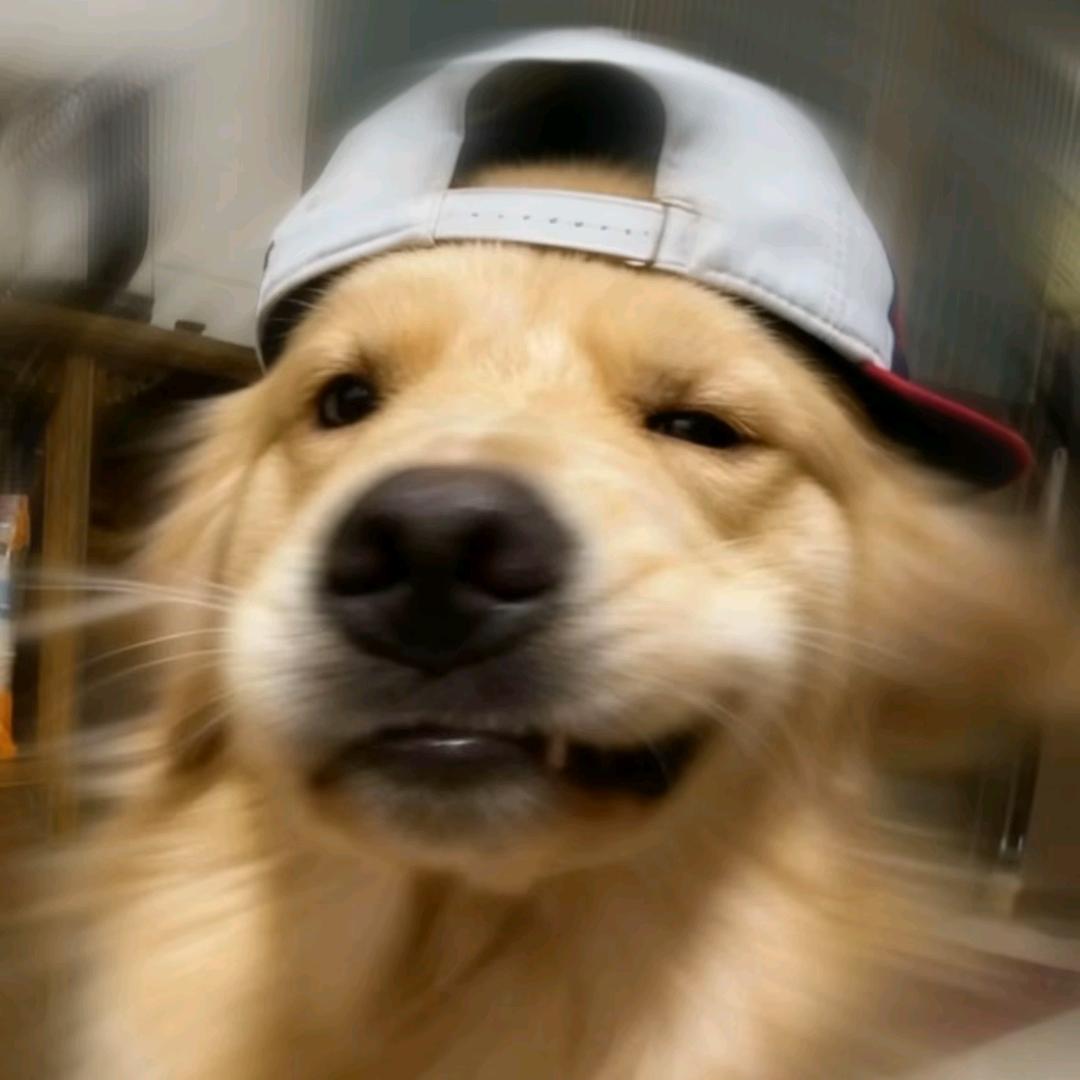 爱上你的码