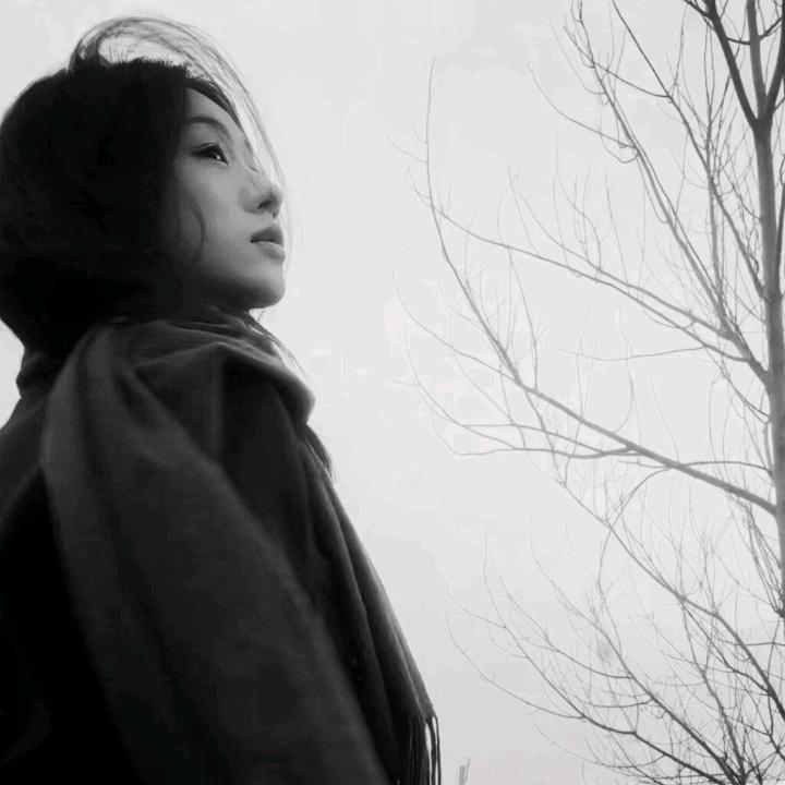 义鸟.