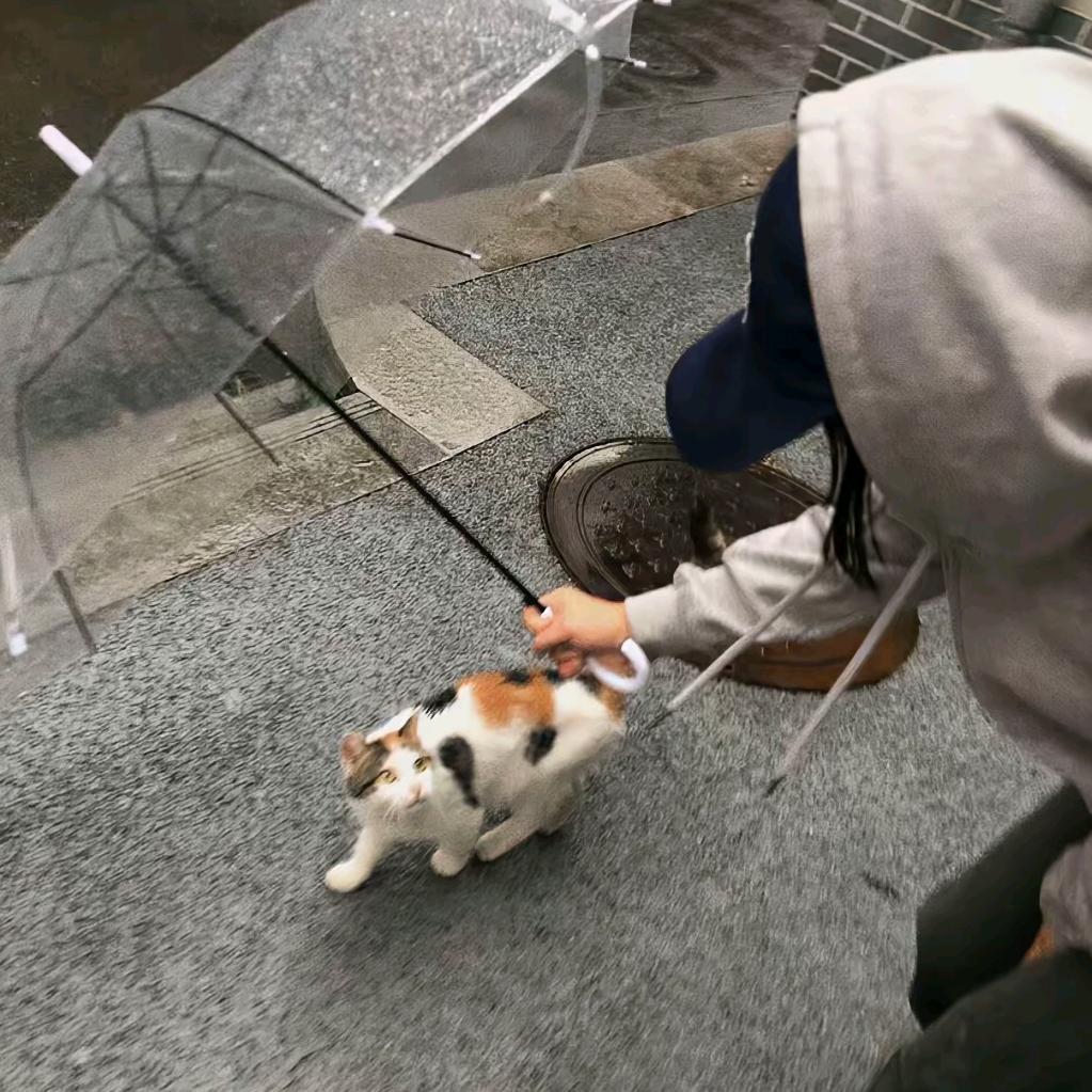 那我知道了