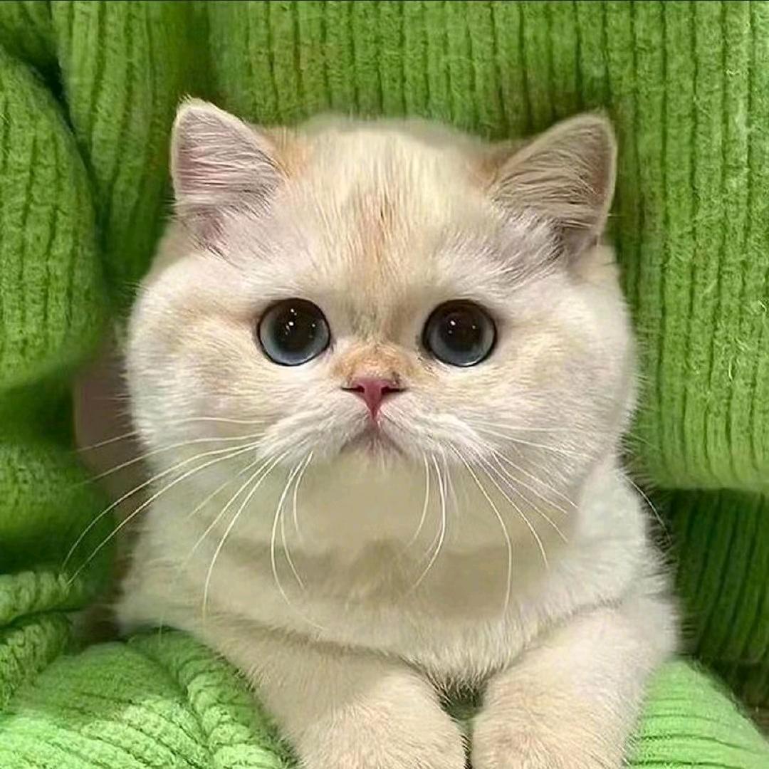我的昵称