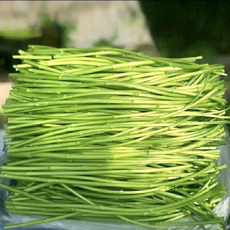 苏北绿生鲜基地