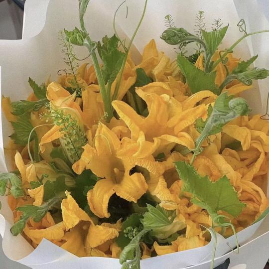 🥀প꯭转身꧓꯭陌路꧔ꦿ᭄