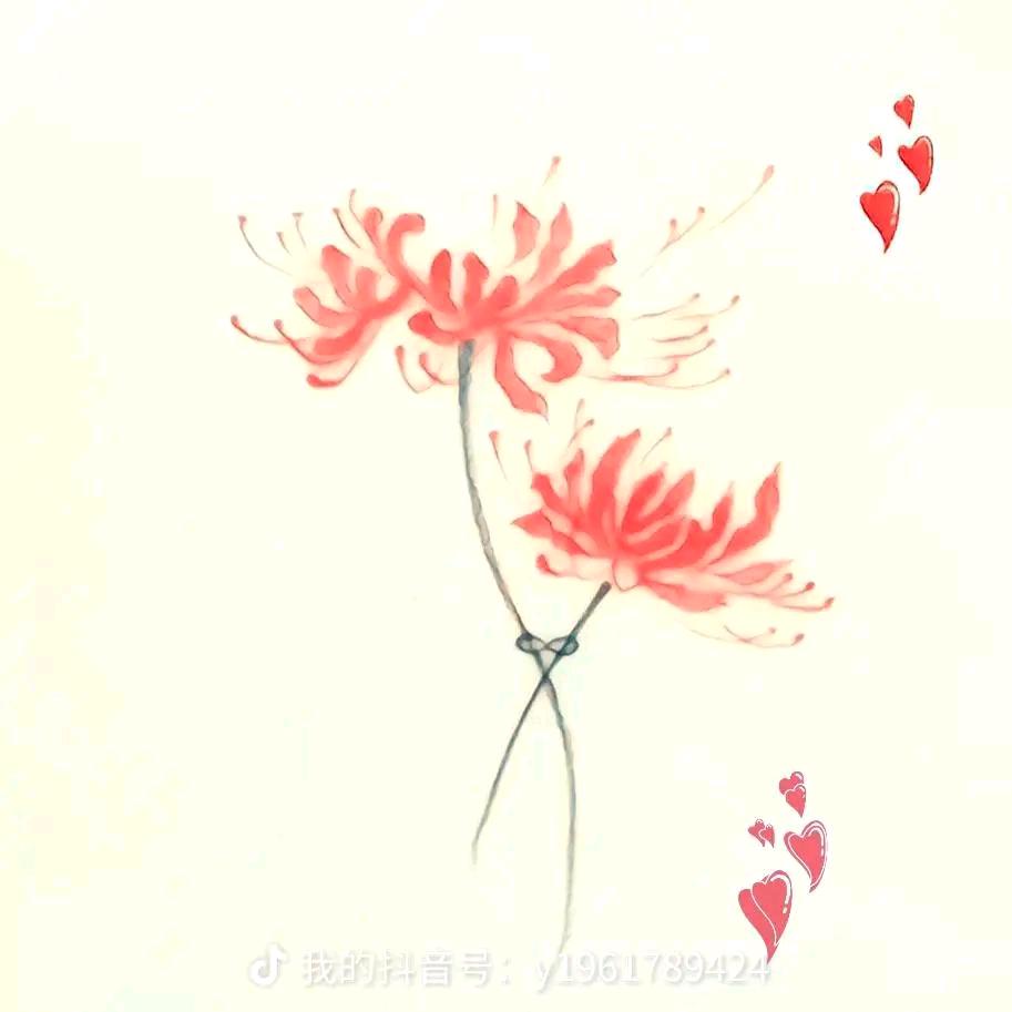 Wy《拒绝私聊》