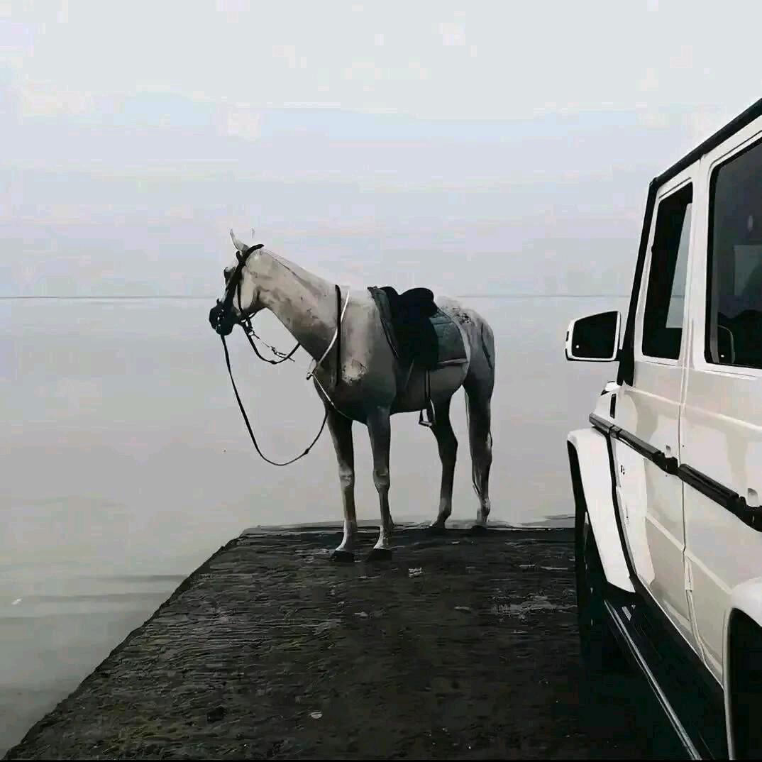 &