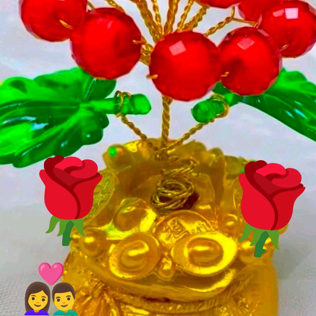 好好爱自己💰💰🌹🌹🐕🐇