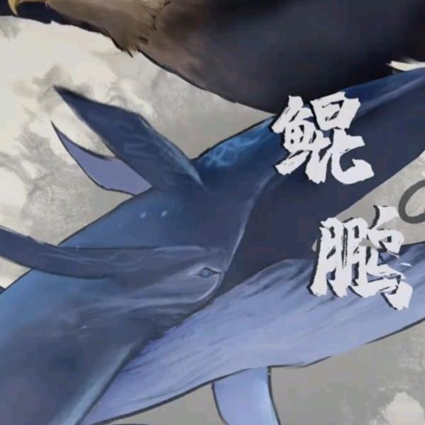 扶摇直上