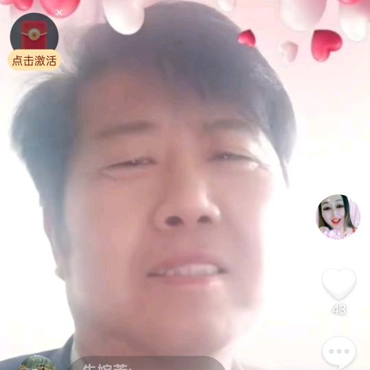 北方的杨