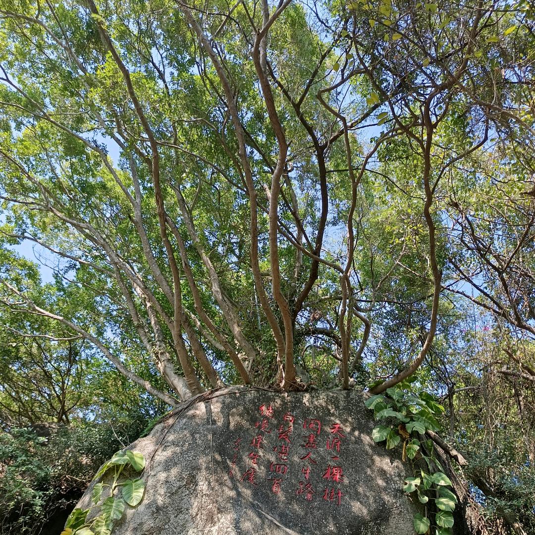 搬砖小哥
