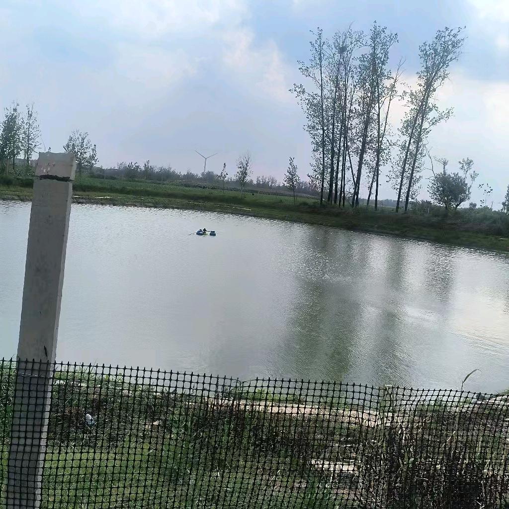 杨营前街垂钓园