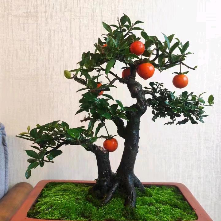 缘来是我