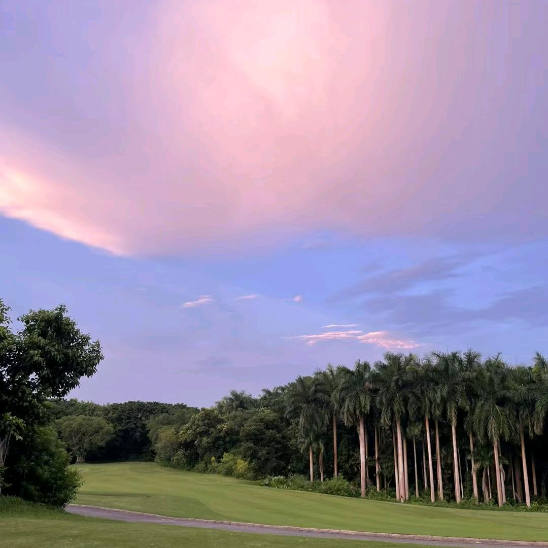 光看不刷好习惯