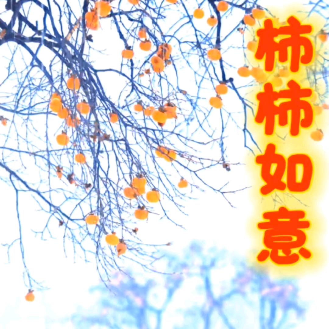 闲人手作花艺