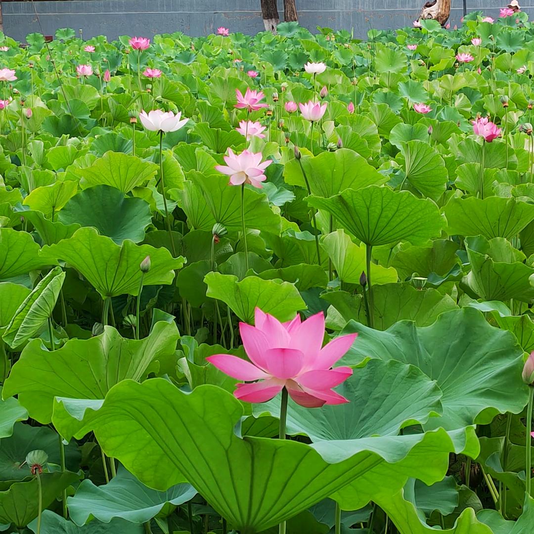 阅山河历沧桑