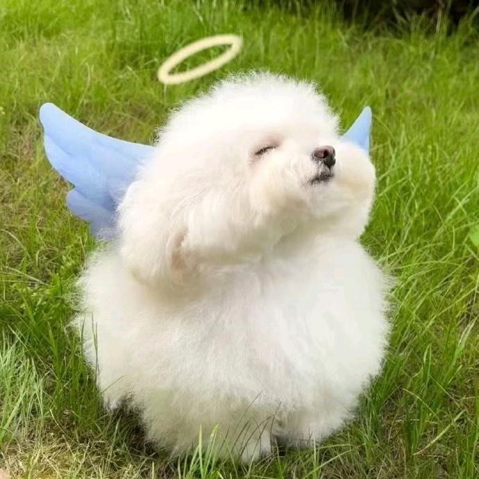 励志的富豪（啊？）