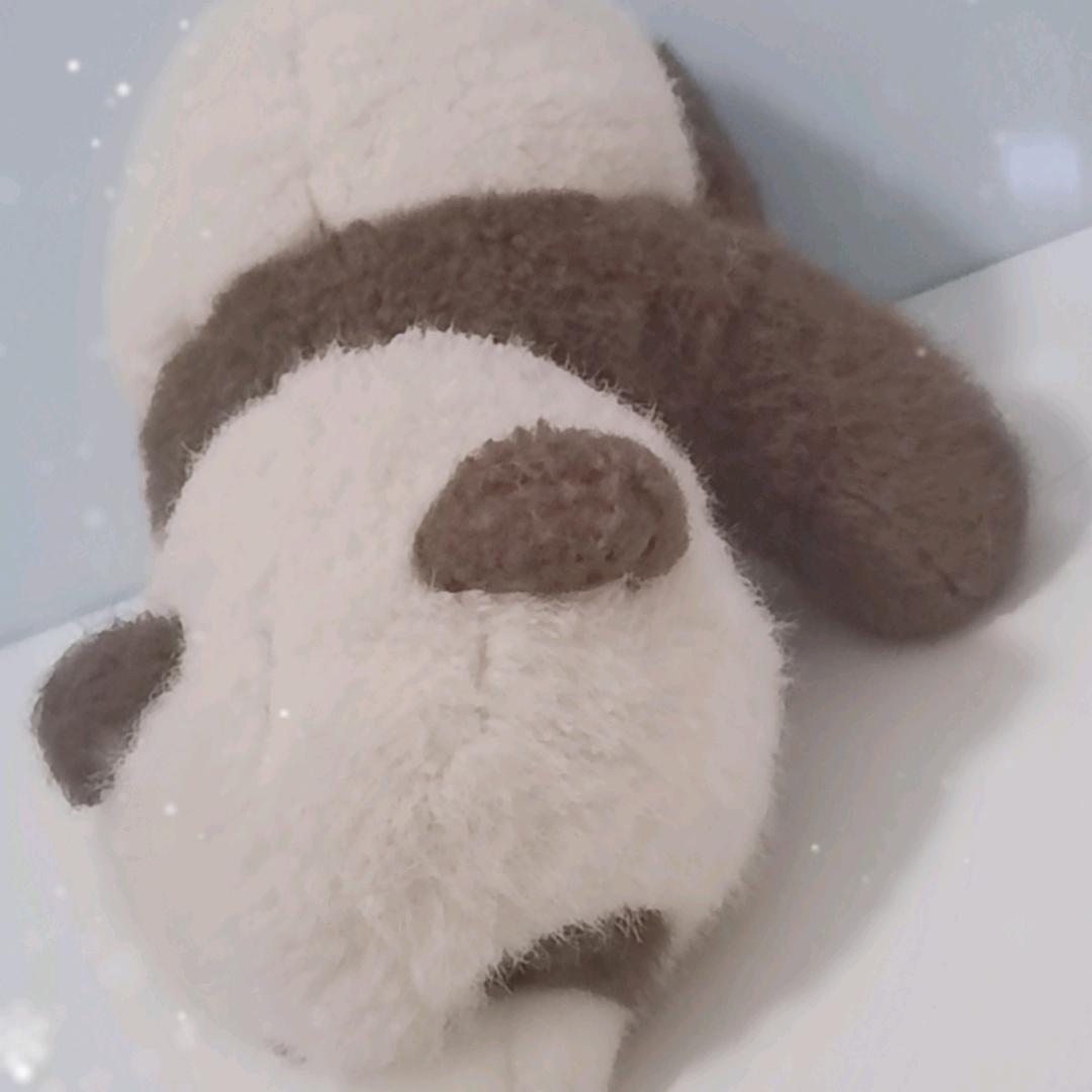 单身，有缘