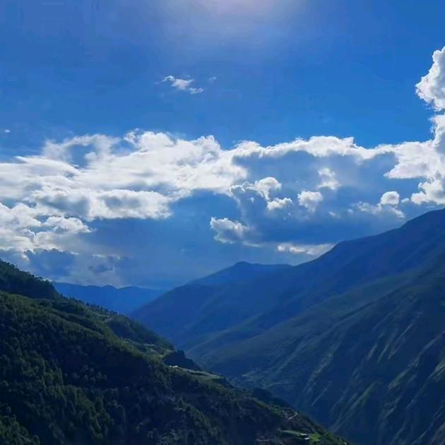 真心换真情8013☀️