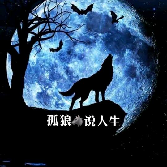 @孤狼说人生