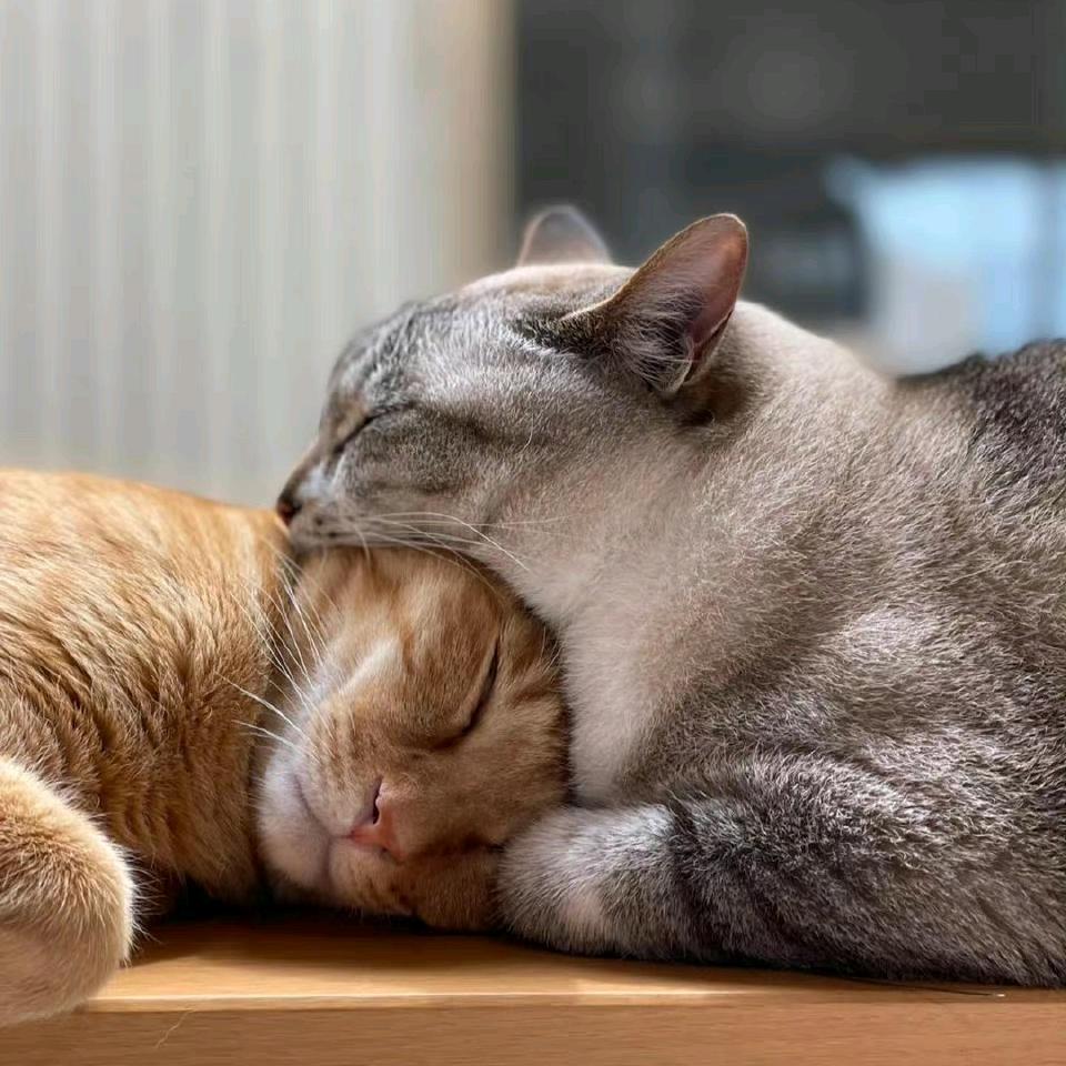 ⛵纸船上的单腿跳⛵