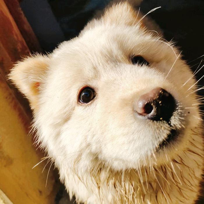 哈哈~哈哈 活到一百九十八