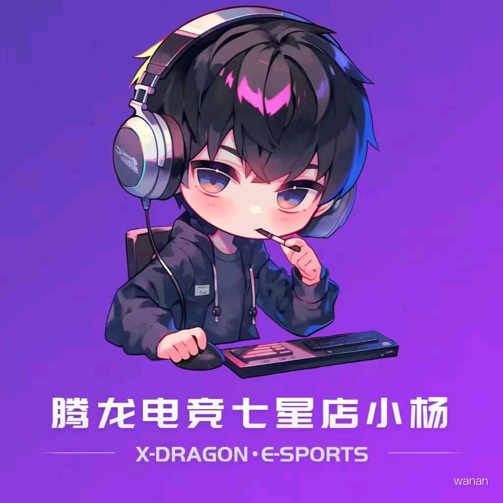 腾龙七星店小杨