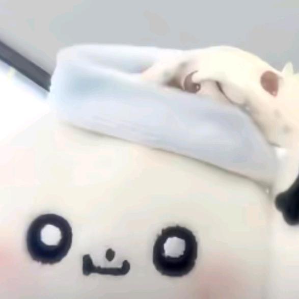 依二