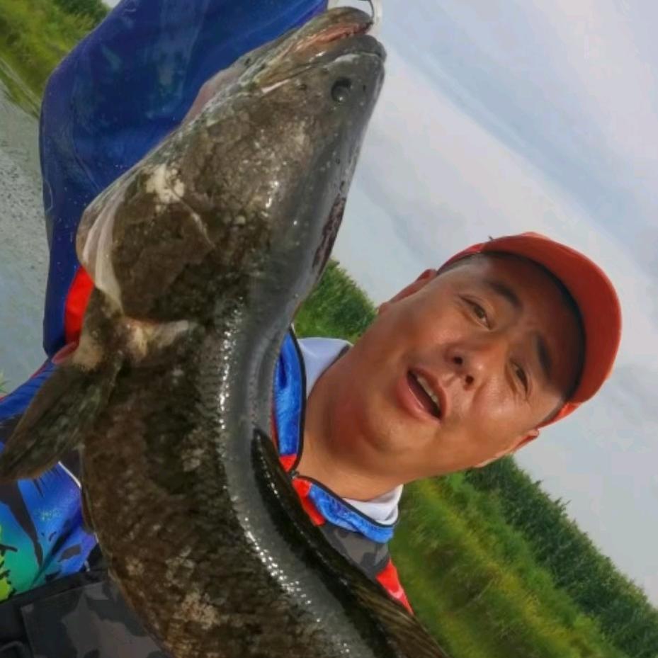 抚远打黑（義哥）