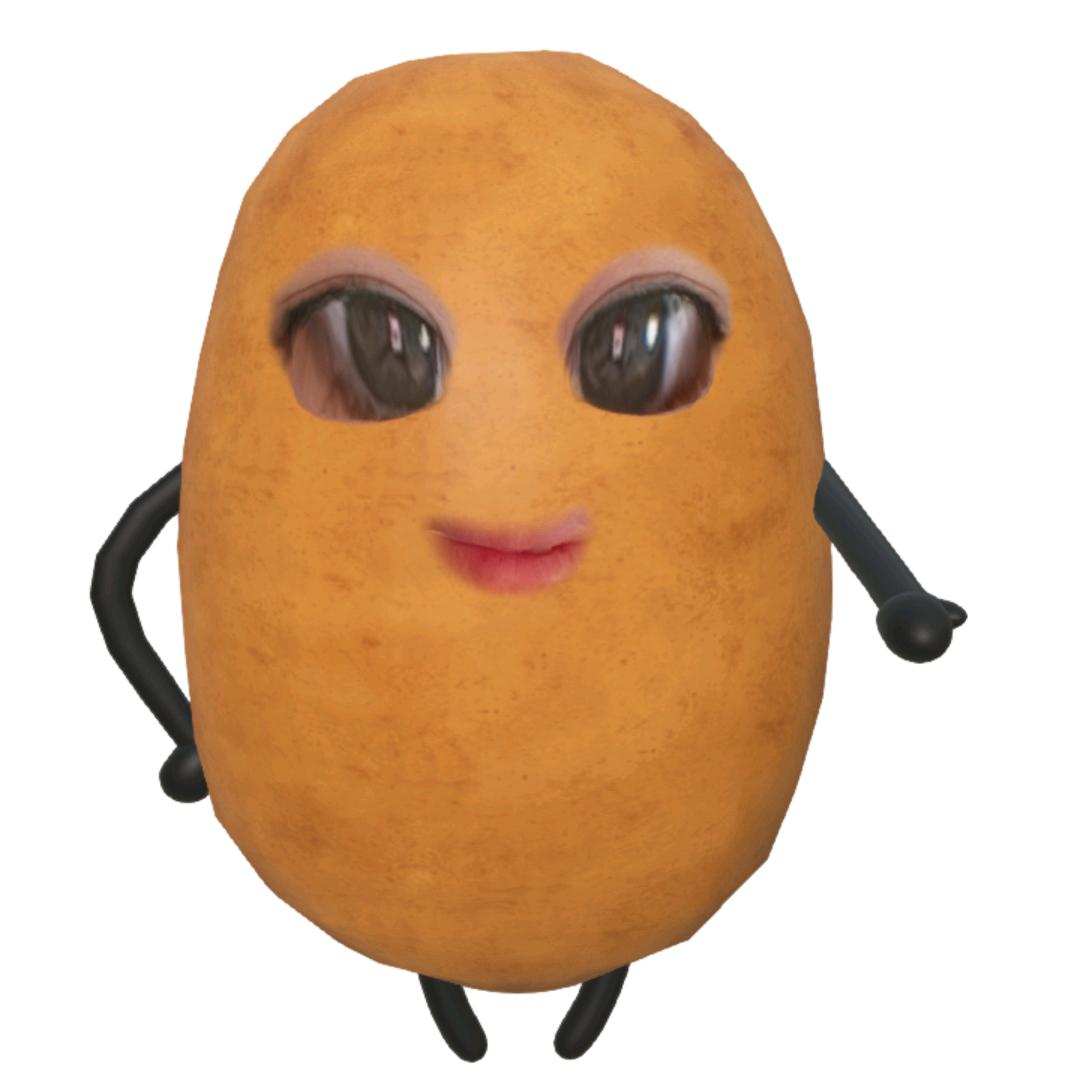 会飞的土豆🥔
