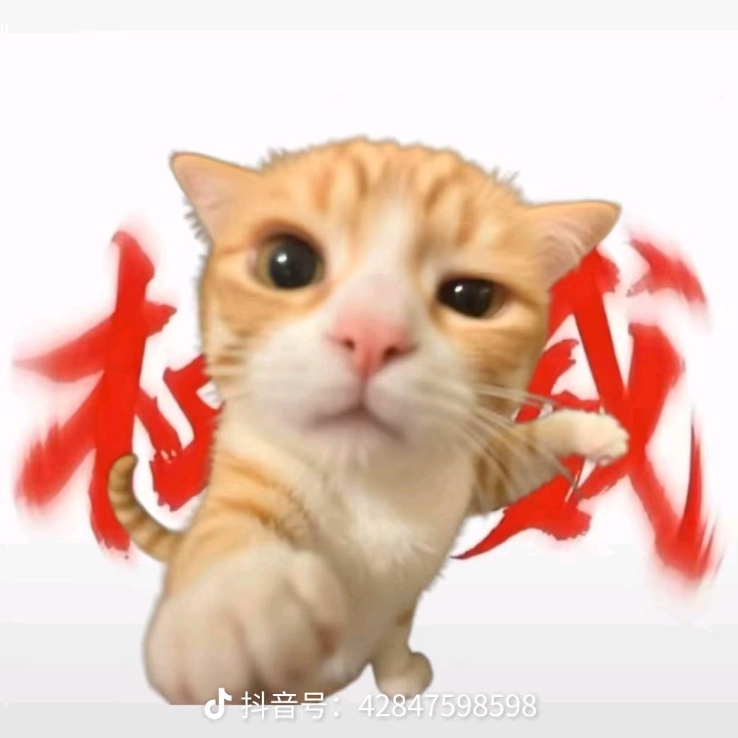 乌鲁鲁（无畏cs行动）