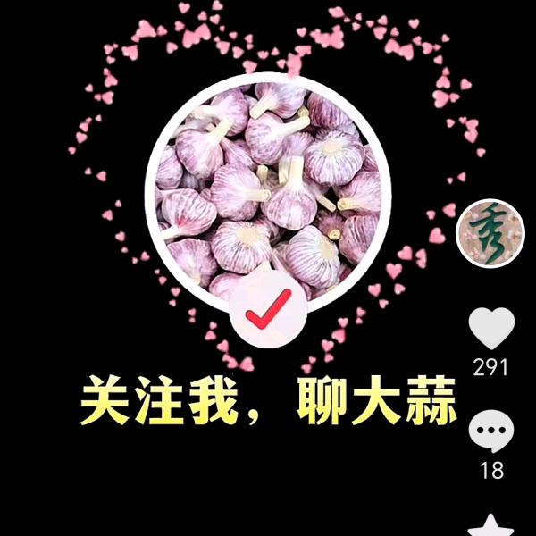 风算先生