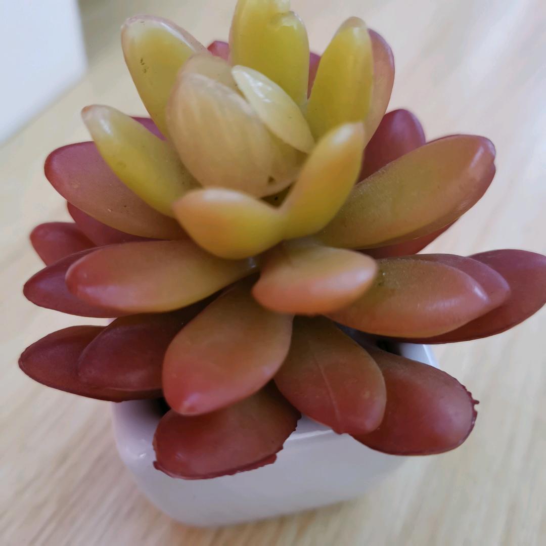 跷二郎腿的女汉子