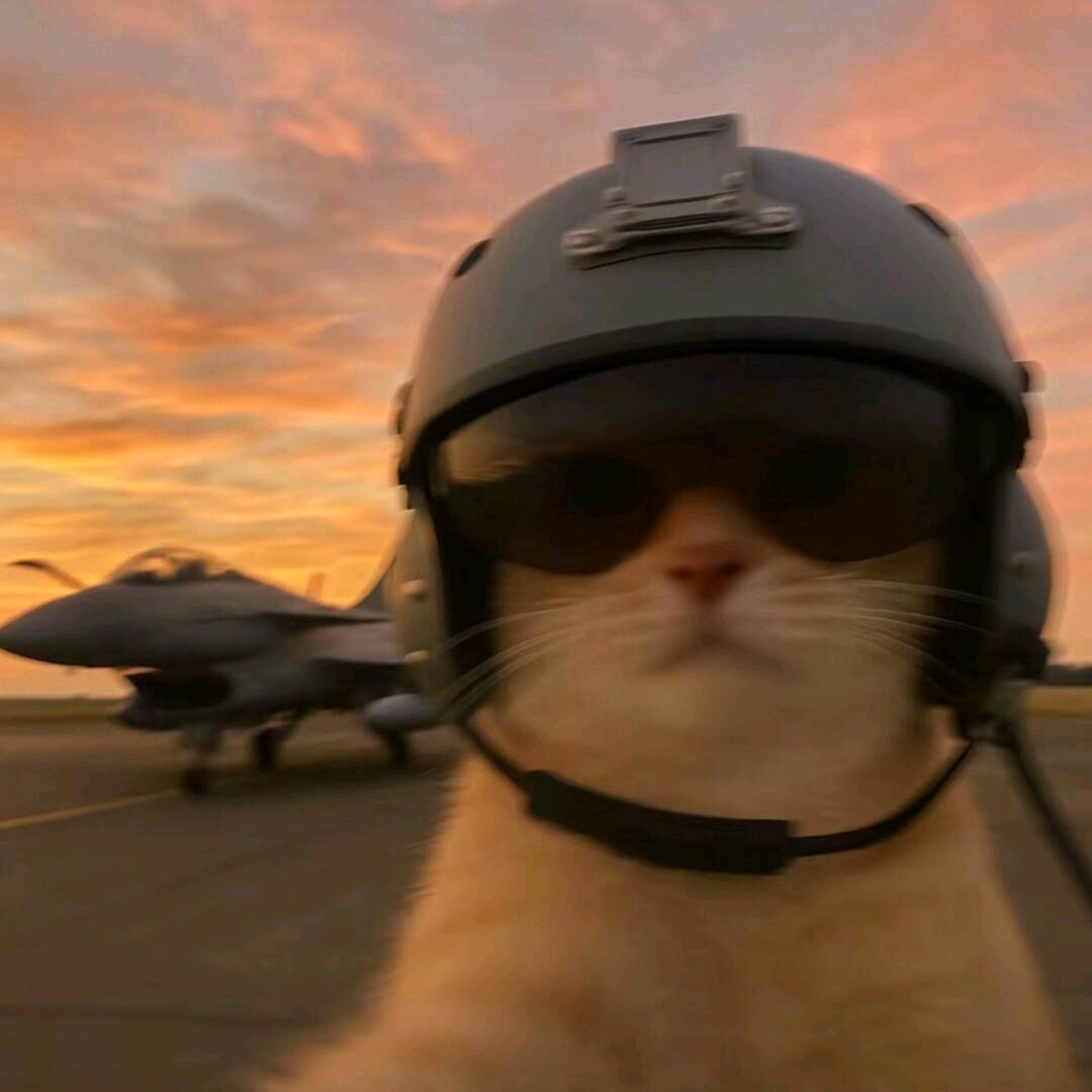 不会玩尼龙的飞行员