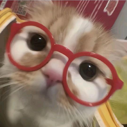 -是玉不是宇