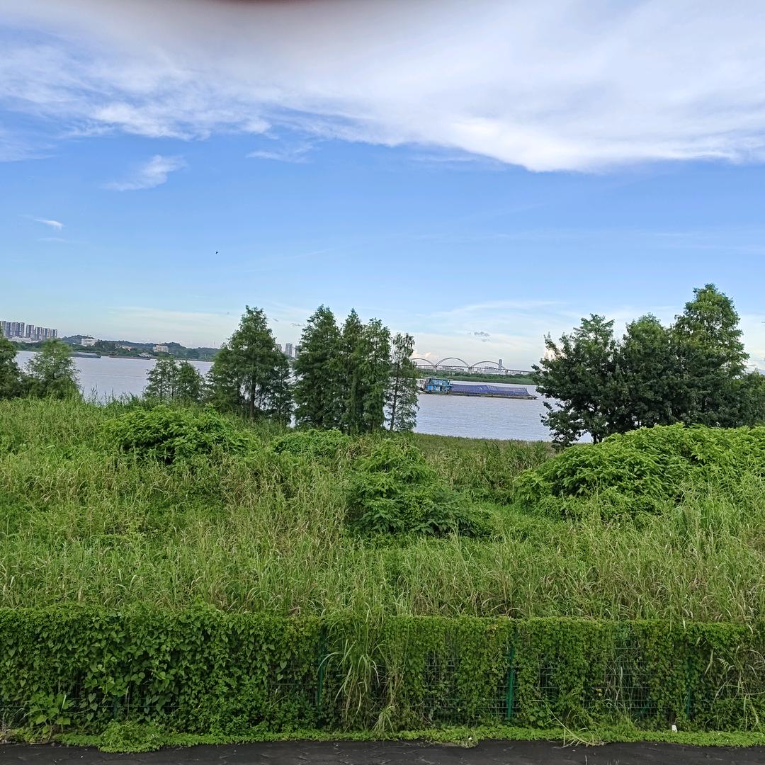 平平淡淡
