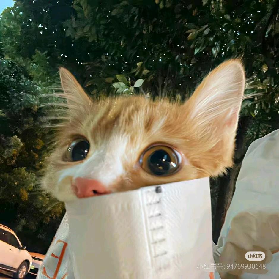 okok