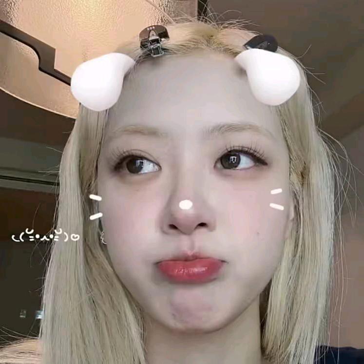 冬不眠