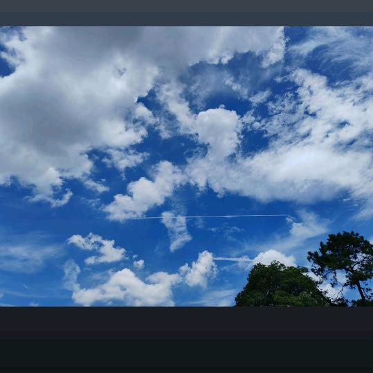 大约在冬季☃️