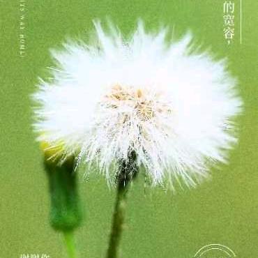 来姐