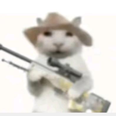 骑着导弹追蜗牛