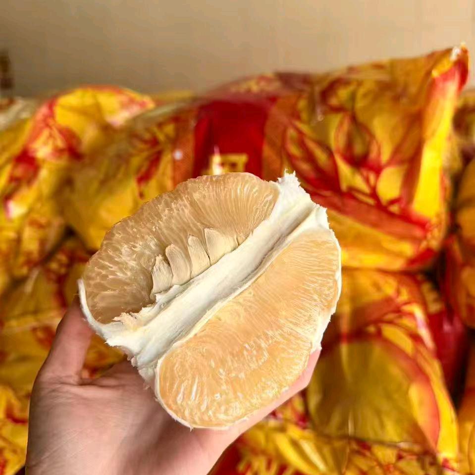 茂叔(拿命换钱)