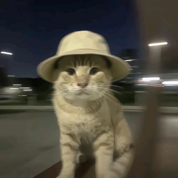 得味教主