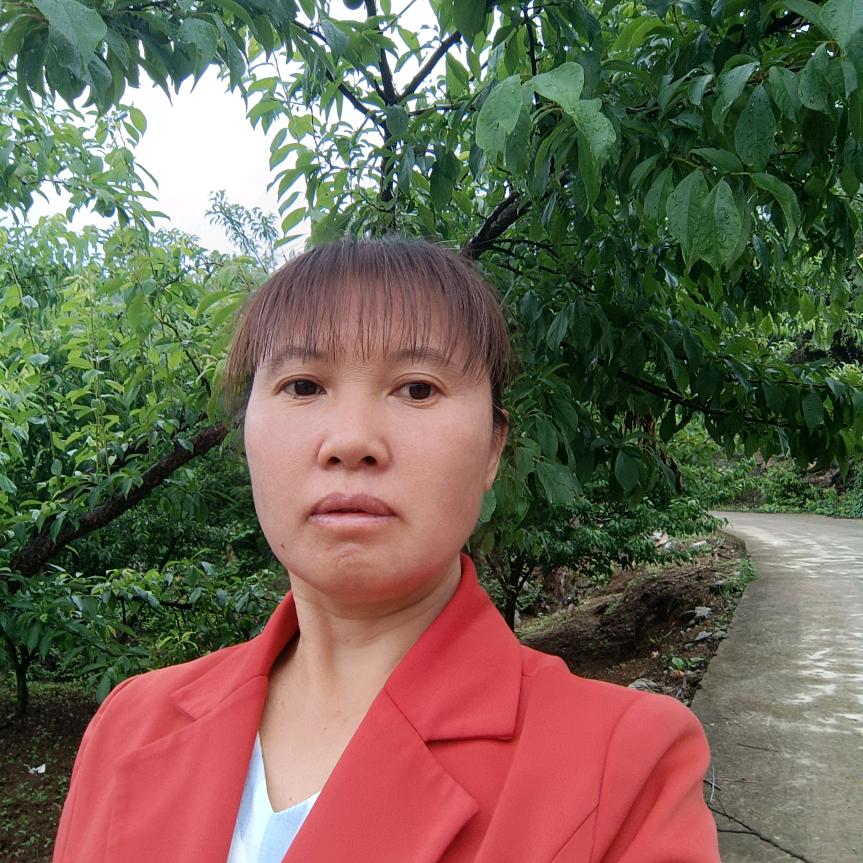 杨三姐