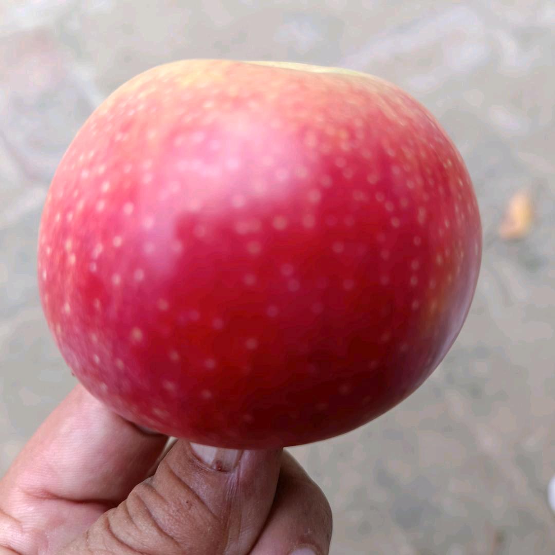 张姐